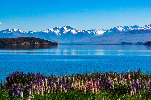 Čiré jezero Nového Zélandu